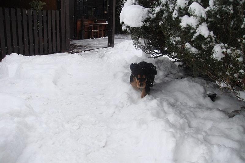 Art_25.1.2010 (8).JPG